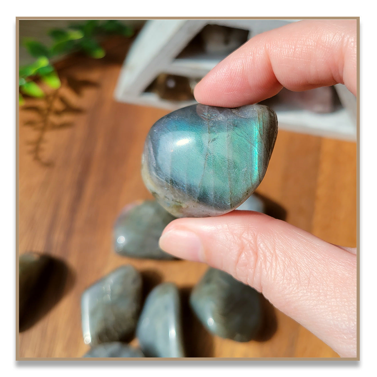 Labradorite Tumbled Stone