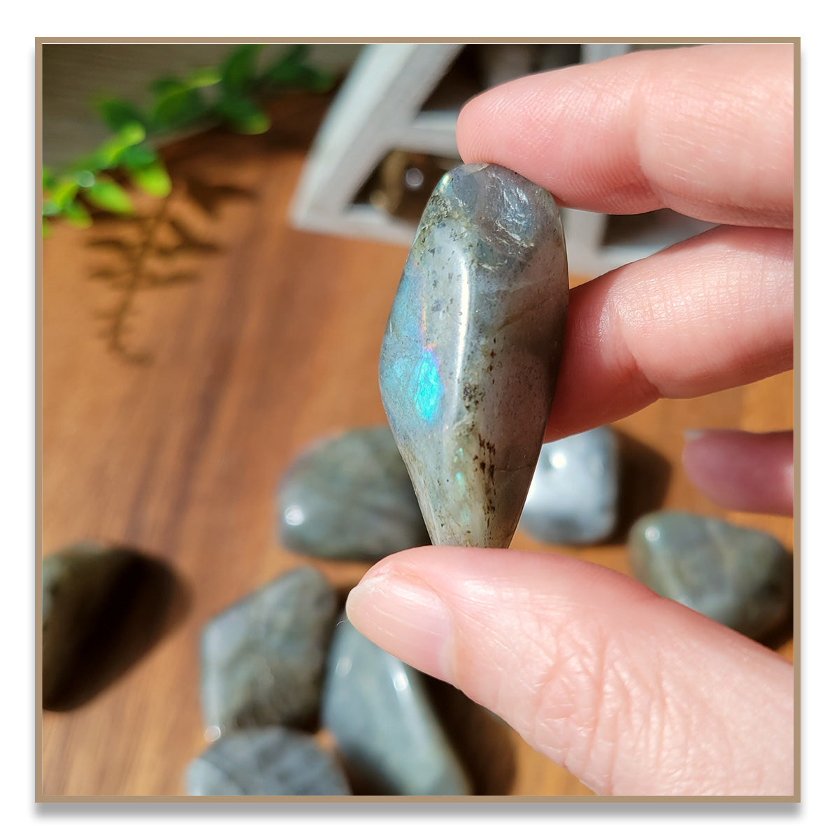 Labradorite Tumbled Stone