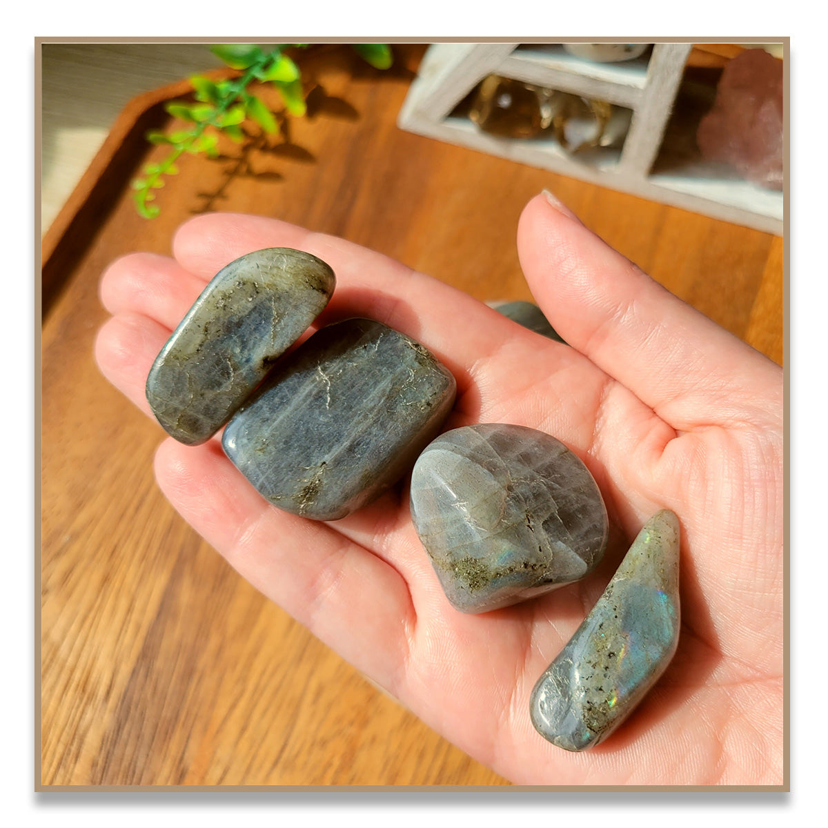 Labradorite Tumbled Stone