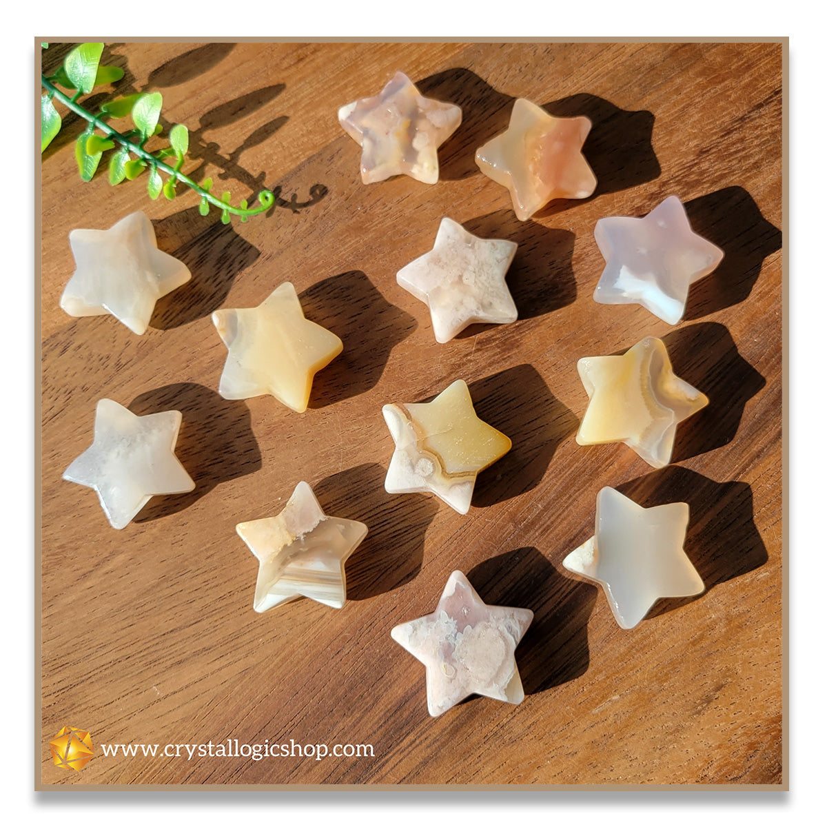 Flower Agate Star