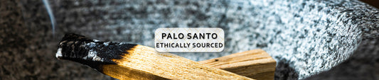 Palo Santo – Sustainability and Disambiguation