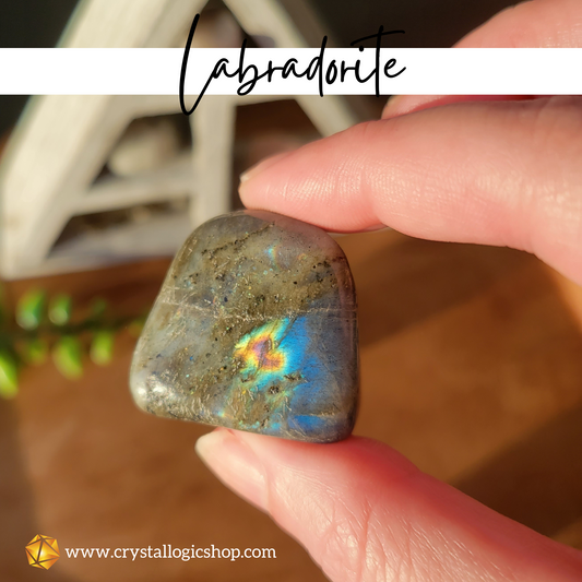 Zodiac Crystal Set ** Pisces **