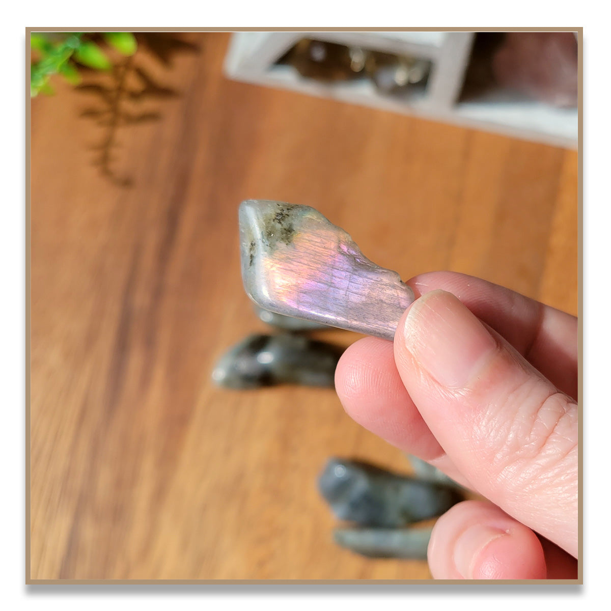Labradorite Tumbled Stone (Small)