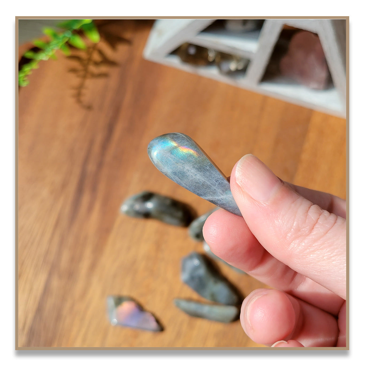 Labradorite Tumbled Stone (Small)