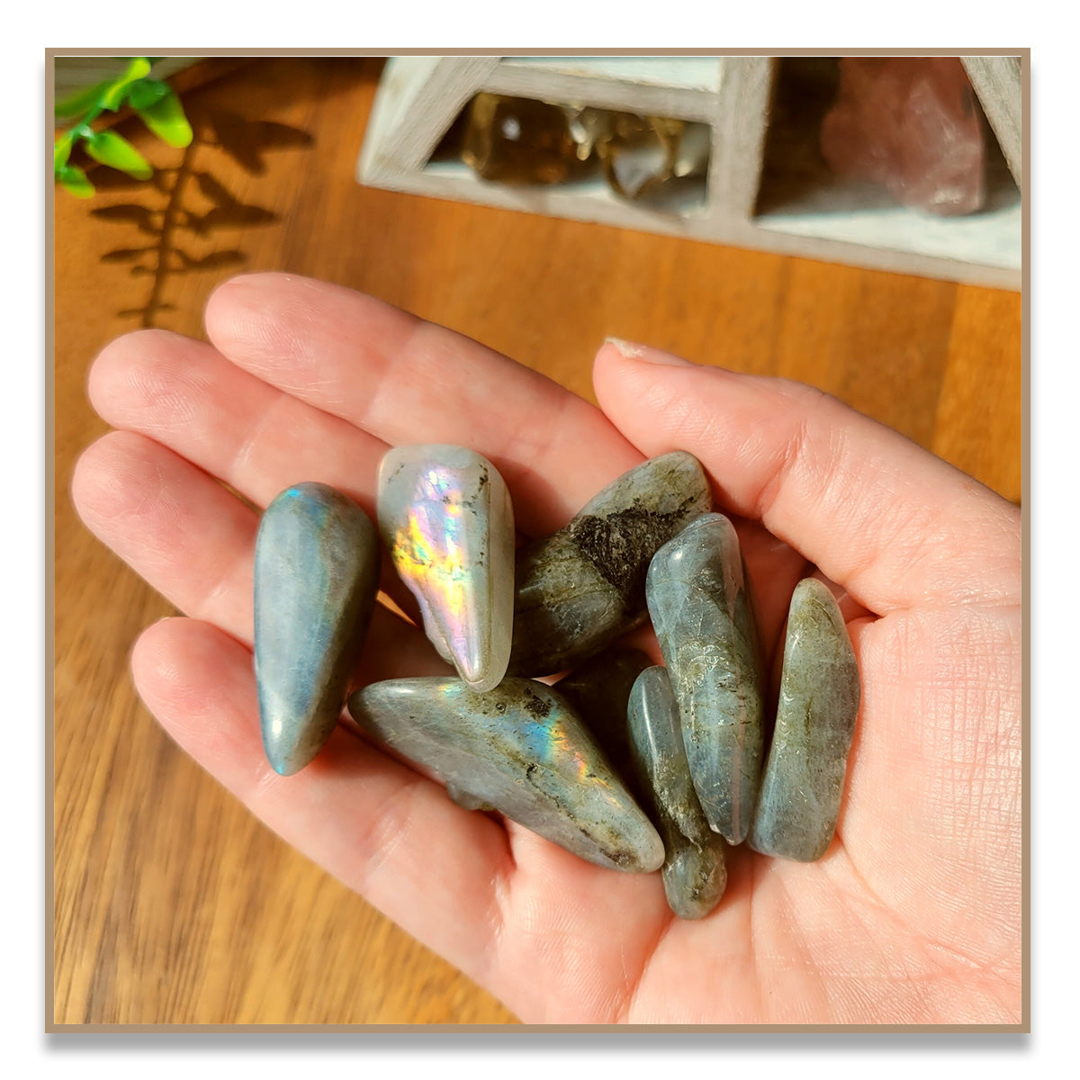Labradorite Tumbled Stone (Small)
