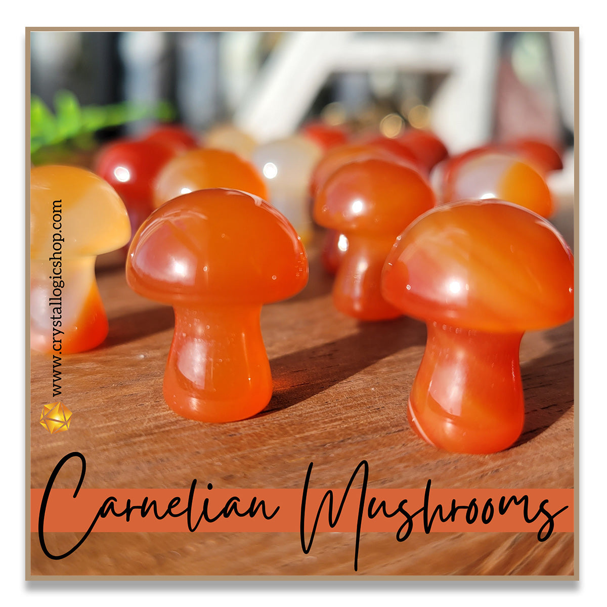 Carnelian Mushroom