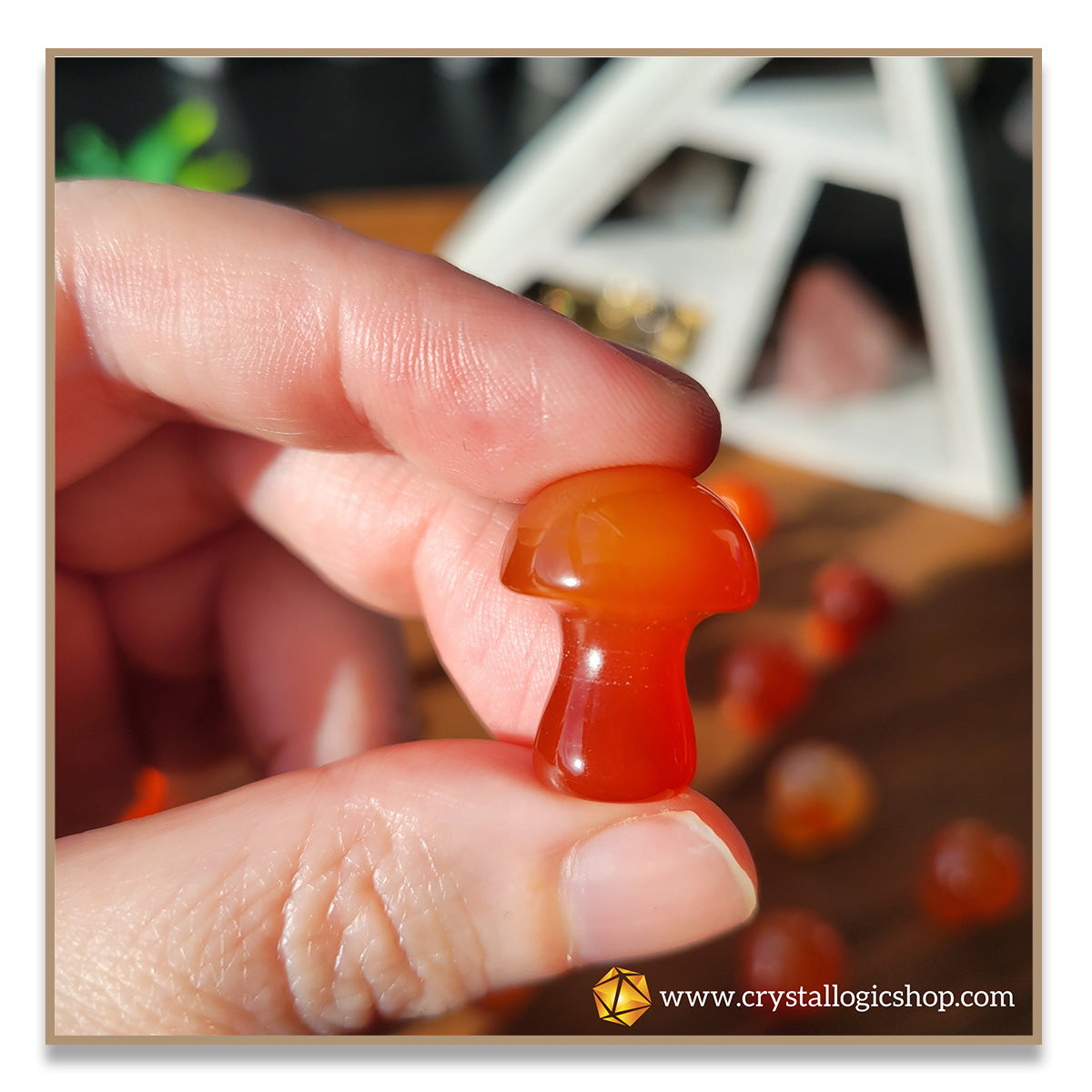 Carnelian Mushroom