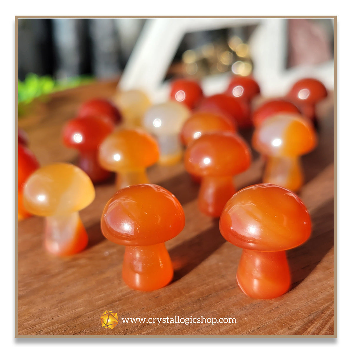 Carnelian Mushroom