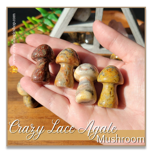 Crazy Lace Agate Mushroom