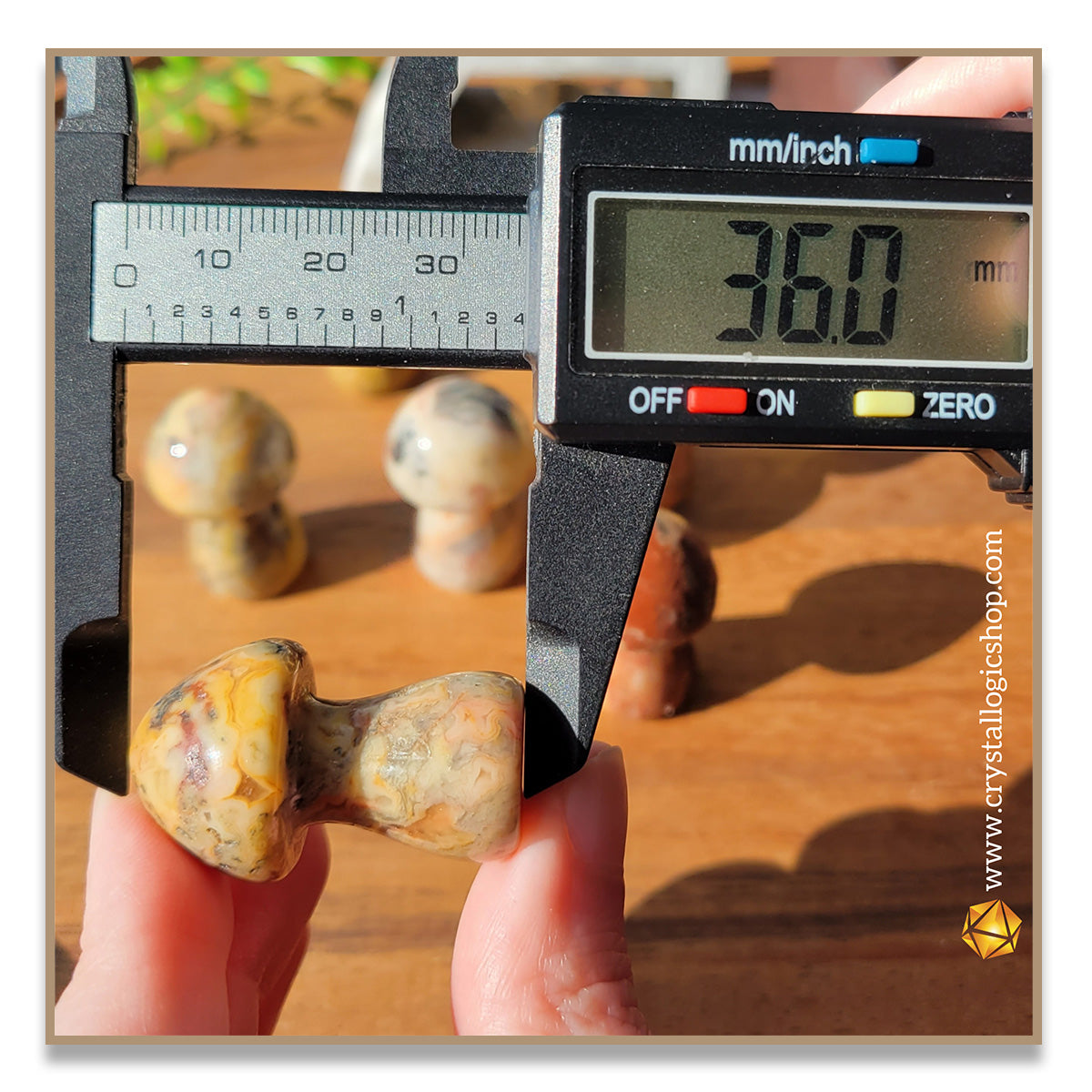 Crazy Lace Agate Mushroom