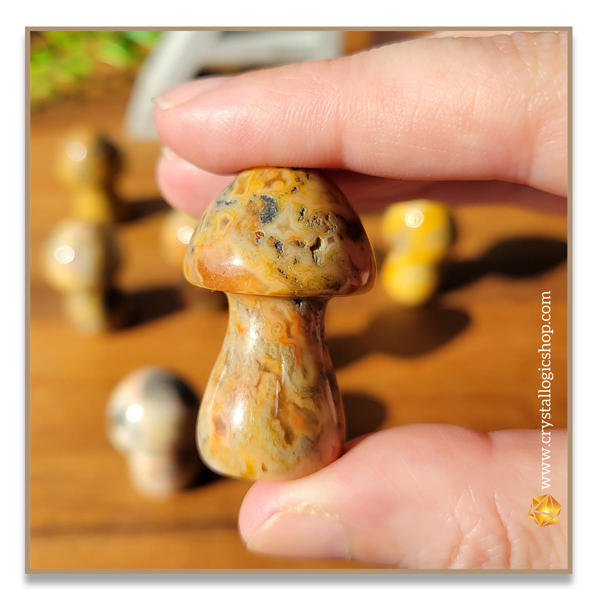 Crazy Lace Agate Mushroom