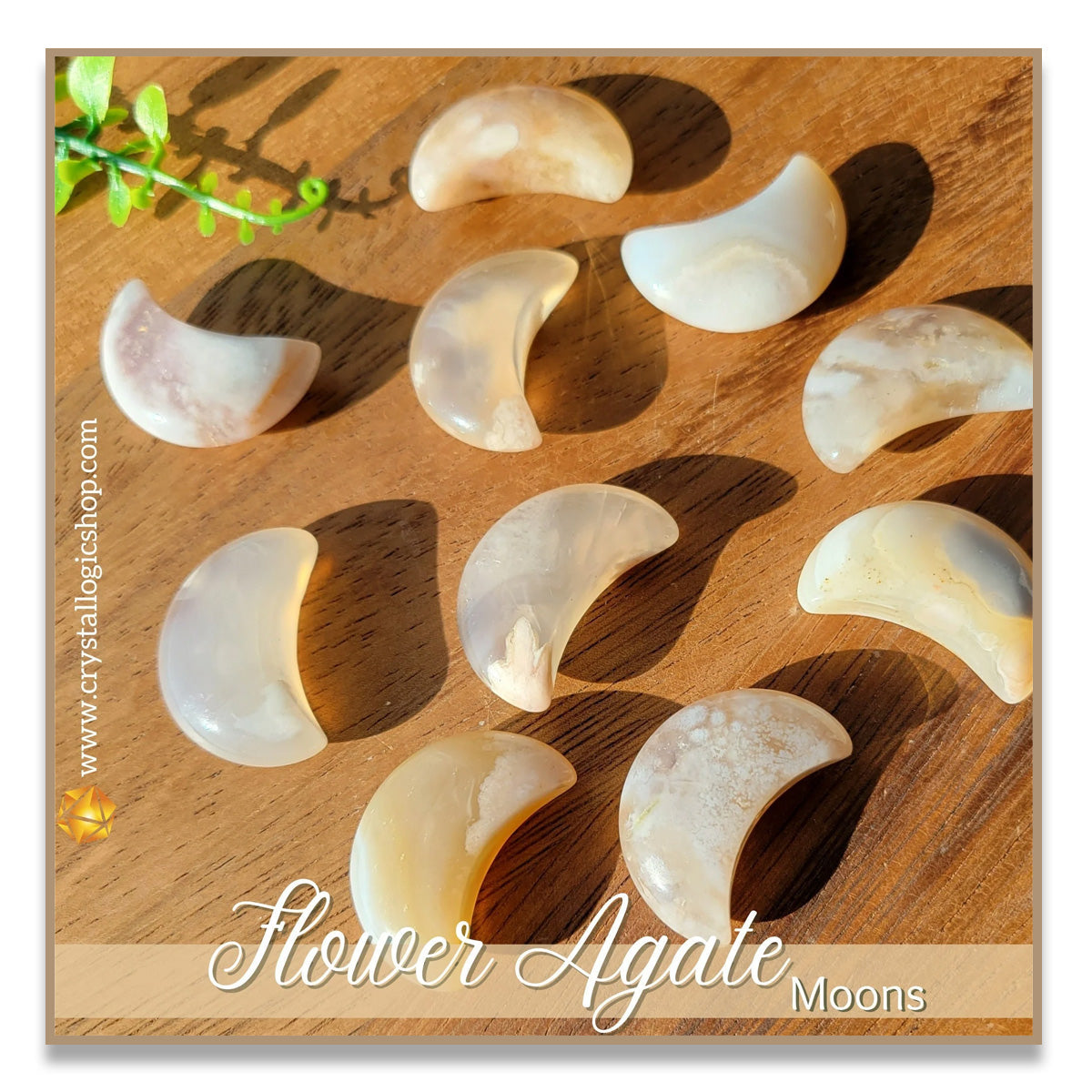 Flower Agate Moon