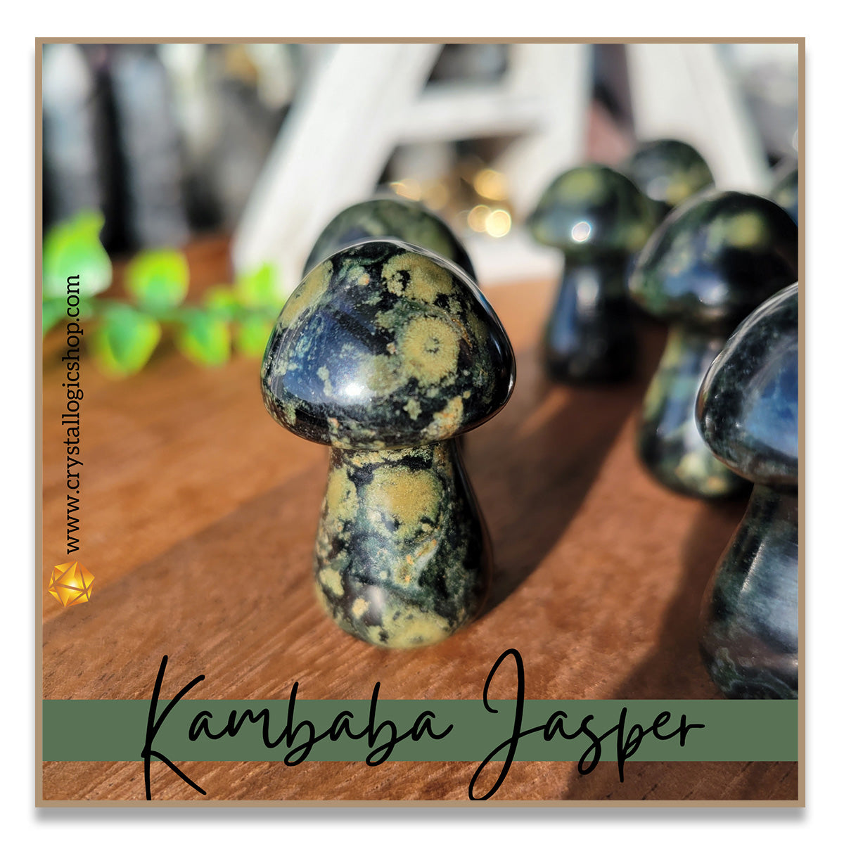 Kambaba Jasper Mushroom