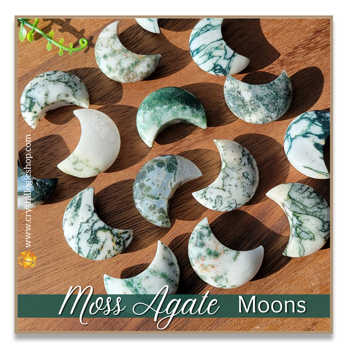 Moss Agate Moon