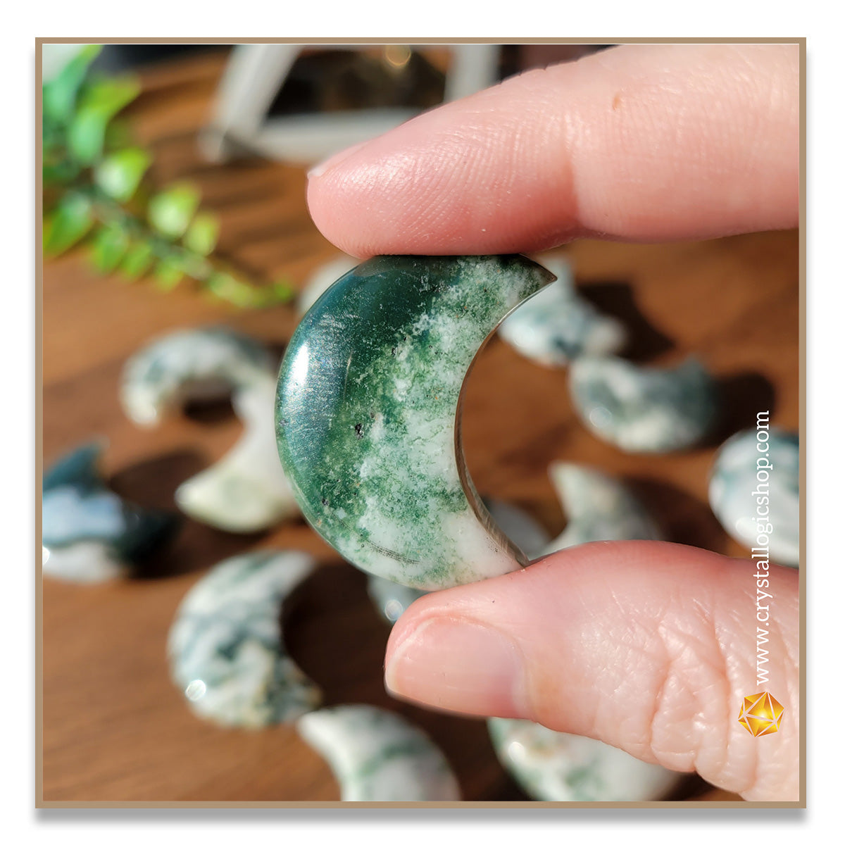 Moss Agate Moon