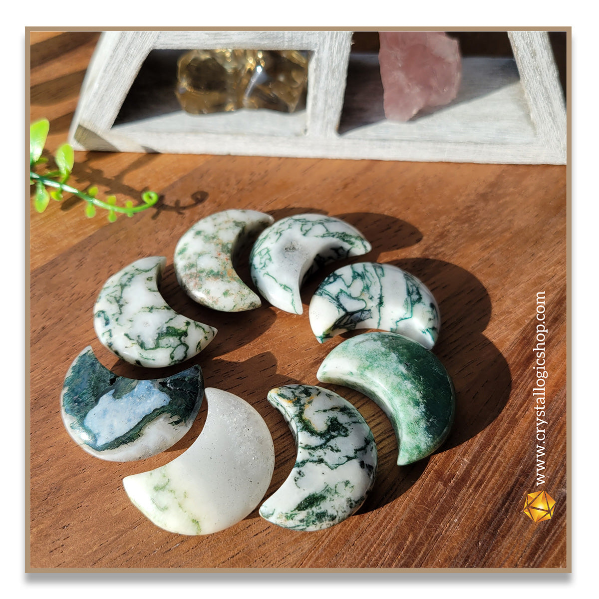 Moss Agate Moon