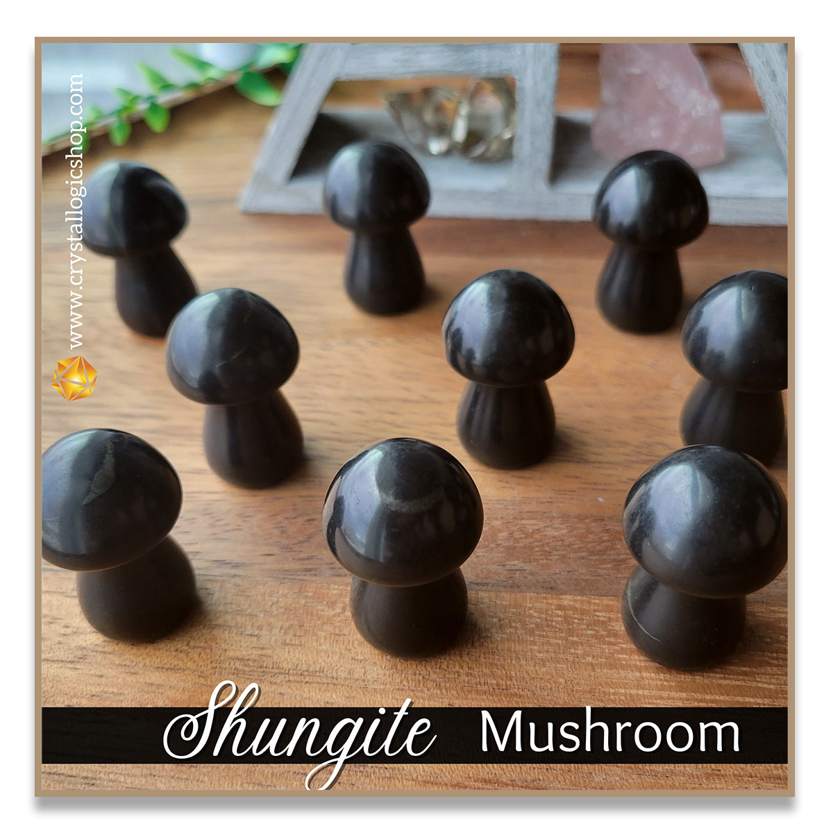 Shungite Mushroom