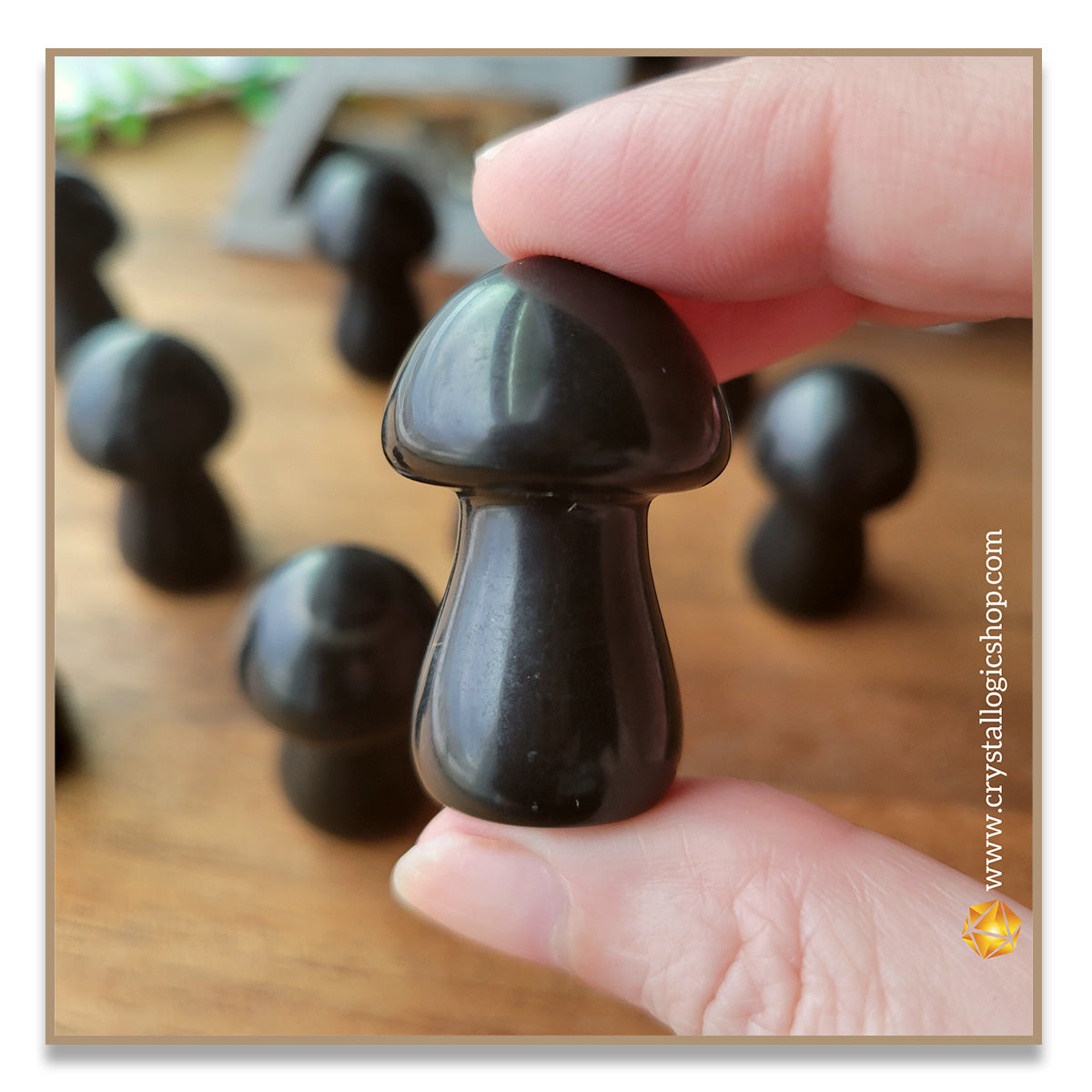 Shungite Mushroom