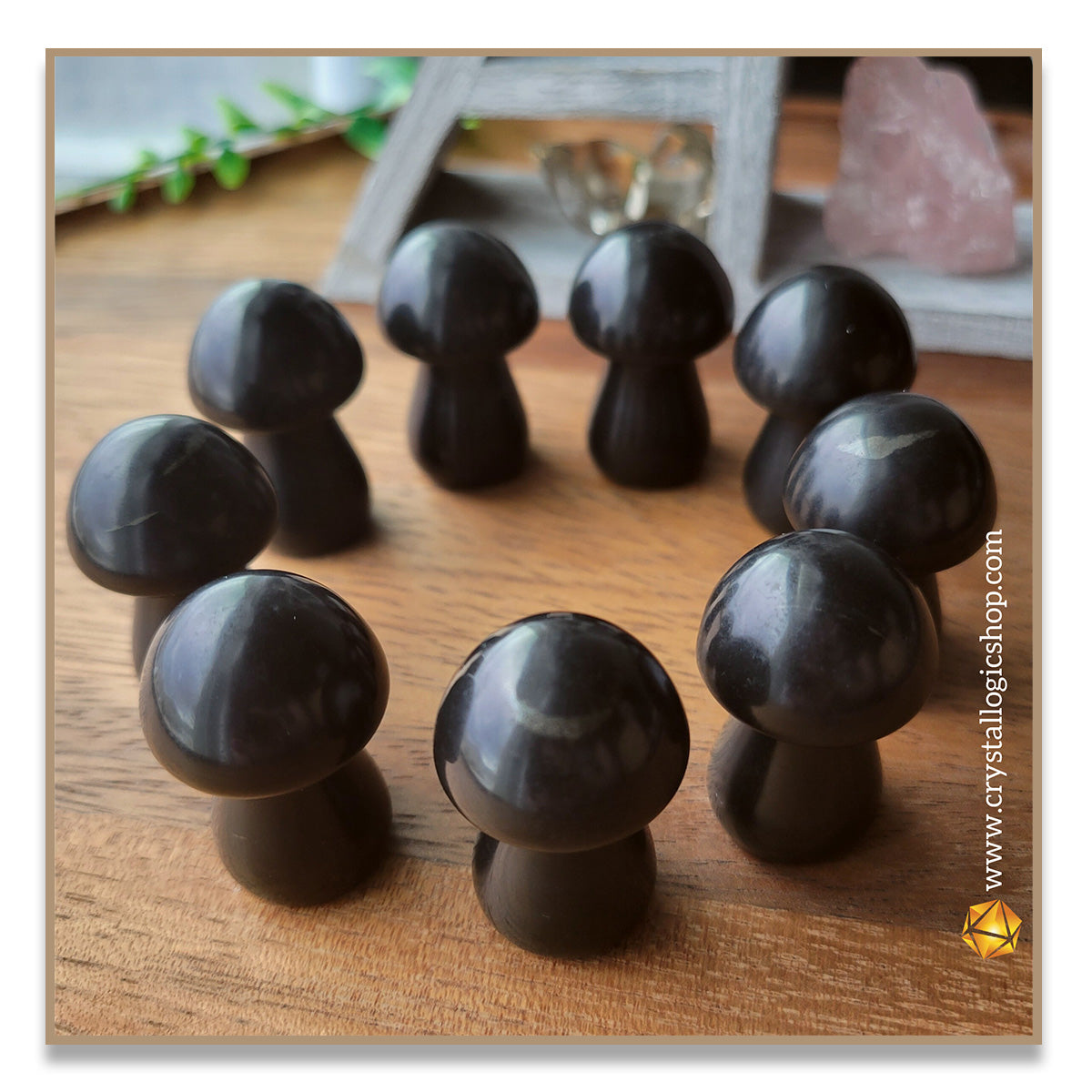 Shungite Mushroom