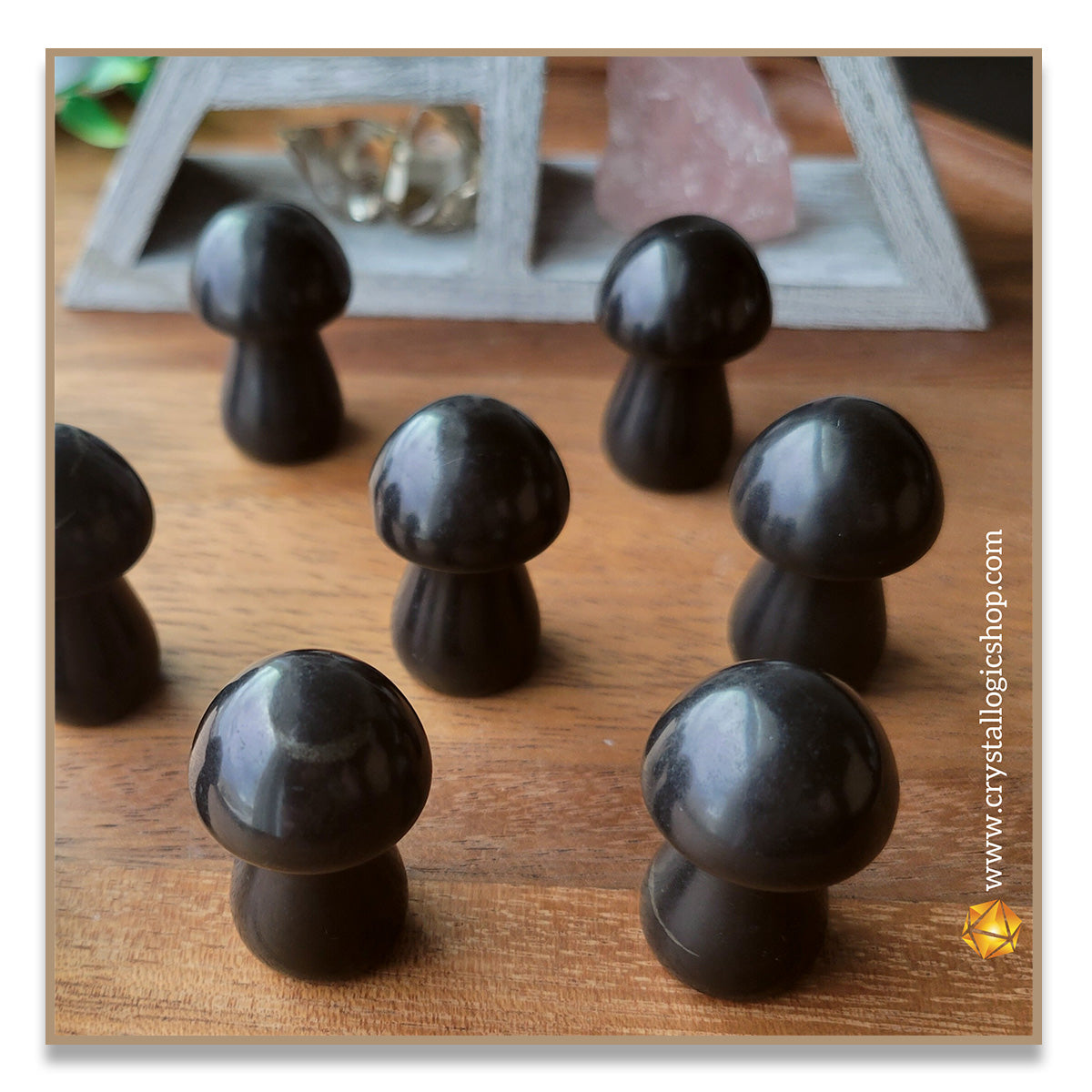 Shungite Mushroom