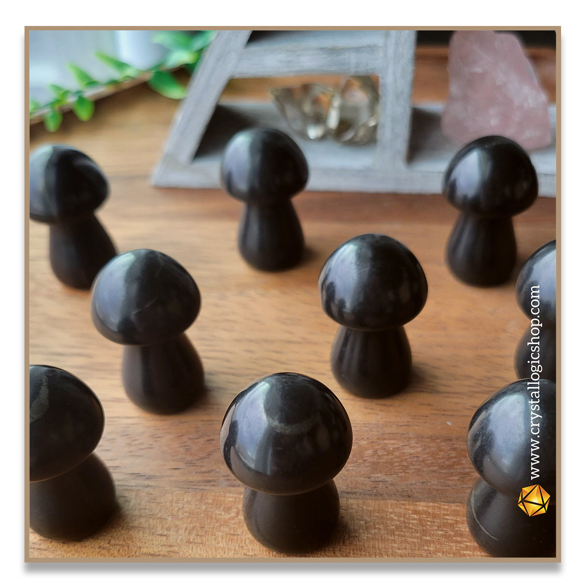 Shungite Mushroom