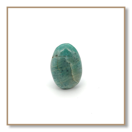 Amazonite Palm Stone