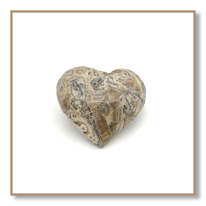 Black-Banded Bumble Bee Calcite Heart