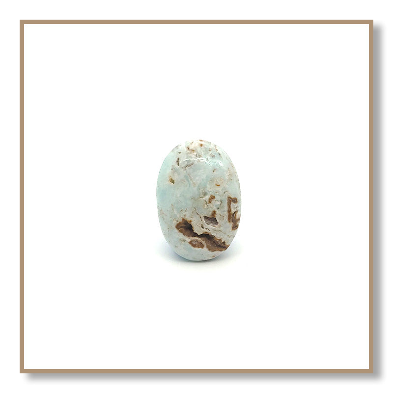 Caribbean Calcite Palm Stone