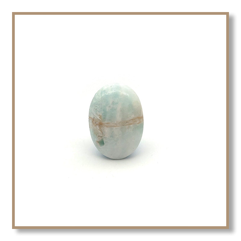 Caribbean Calcite Palm Stone