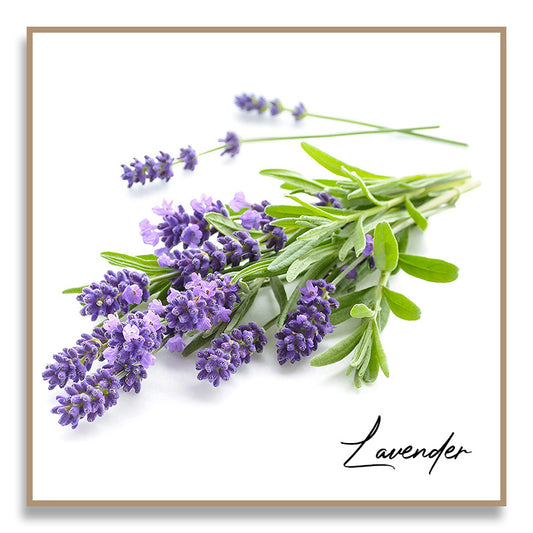 Aromatherapy Essential Oil - Lavender