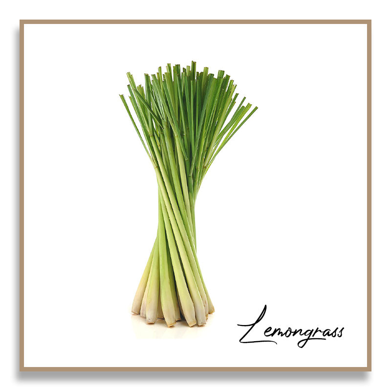 Aromatherapy Essential Oil - Lemongrass